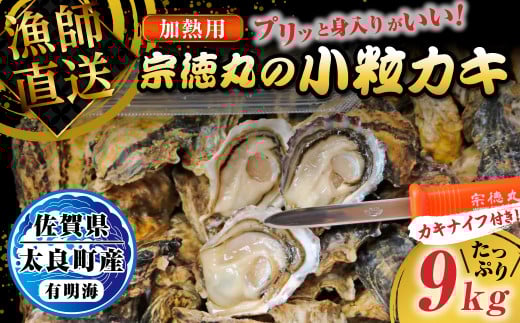 宗徳丸の小粒カキ ９kg 牡蠣 かき カキ 宗徳丸 有明海 殻付きカキ 加熱用牡蠣 海鮮 加熱用牡蠣 小粒 竹崎カキ 新鮮 佐賀県 太良町 QD2