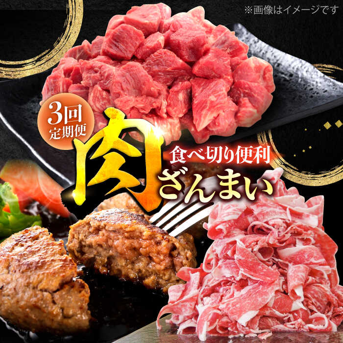 【ふるさと納税】【3回定期便】肉ざんまい定期便 一人暮らし 少量 /黒毛和牛 牛肉 バラエティー 定期 個梱包ハンバーグ【川崎畜産】[IAX047]
