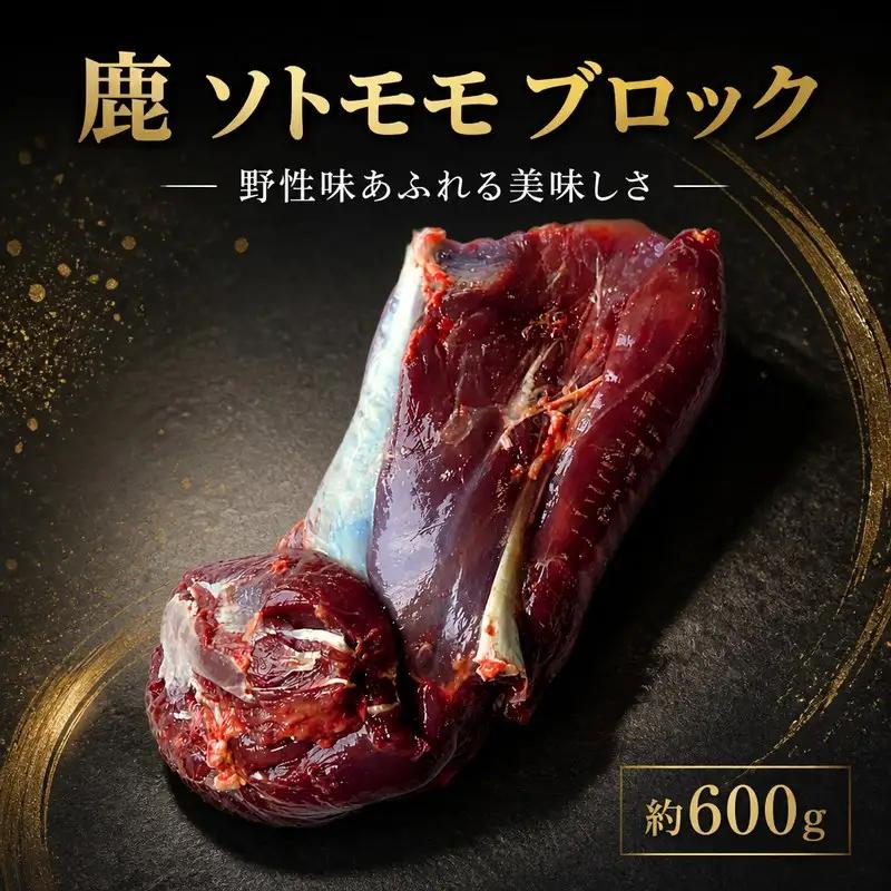 鹿肉 ソトモモ 600g ブロック ジビエ 【 鹿肉 】