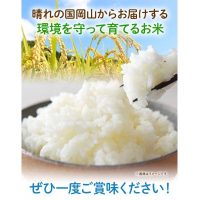 ふるさと納税 笠岡市 【瀬戸内海保護】里海米食べ比べ3本セット　無洗米　A-154e |  | 03