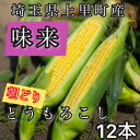 【ふるさと納税】【先行予約2025年夏発送】とうもろこし　味来　2Lサイズ×12本　計5kg(梱包込み)【配送不可地域：離島】【1564847】