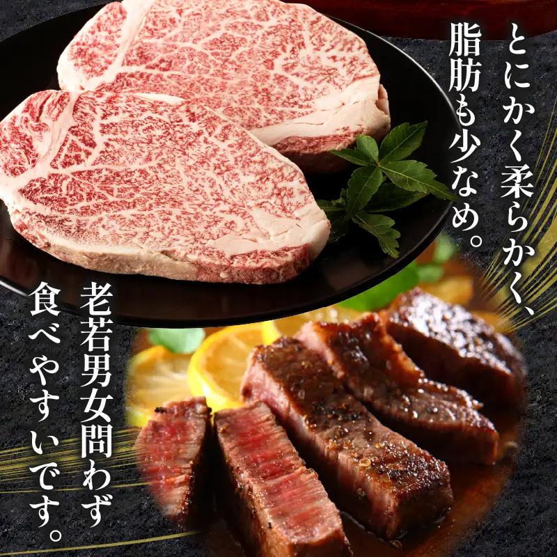 牛肉 ステーキ 牛肉[宮崎牛 ヒレ 600g]