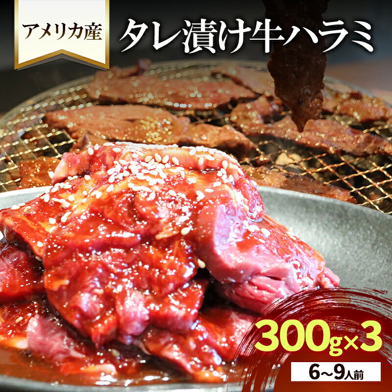 【ふるさと納税】アメリカ産タレ漬け牛ハラミ　6～9人前 300g×3 牛肉 焼肉 焼き肉 アウトドア BBQ