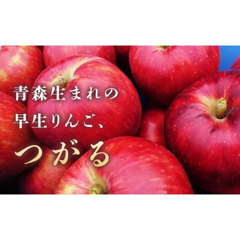 旬のりんご定期便 旬のりんご満喫 6回 定期便 ： つがる（5kg）・シナノスイート（5kg）・ぐんま名月（5kg）・はるか（3kg）・サンふじ（5kg）、シナノゴールド（5kg）【2026年産・先行