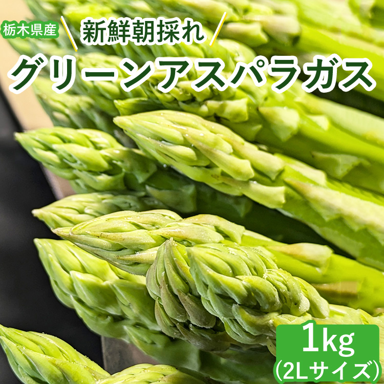 うえの農園の朝採りグリーンアスパラガス 2Lサイズ 1kg | 国産 栃木県産アスパラガス ※2025年6月より順次発送予定 ※離島への配送不可