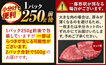 くまもと黒毛和牛 リブロースステーキ 500g ( 250g x 2枚 ) 牛肉 冷凍 《30日以内に出荷予定(土日祝除く)》 くまもと黒毛和牛 黒毛和牛 冷凍庫 個別 取分け 小分け 個包装 ステー