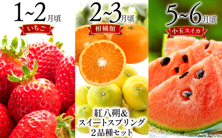 【6回定期便 Aコース】【ご家庭用】フルーツ定期便 旬のフルーツセット/ いちご 柑橘類 スイカ メロン 梨 キウイ / 南島原市 / 長崎県農産品流通合同会社 [SCB065]/ フルーツ定期便 果