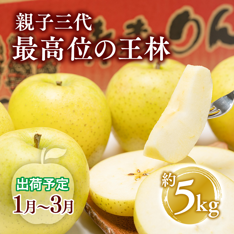 【全国ふじコンテスト最高賞受賞・青森りんご・平川市広船産・1月・2月・3月発送】年明け 家庭用　親子三代最高位の王林約5kg