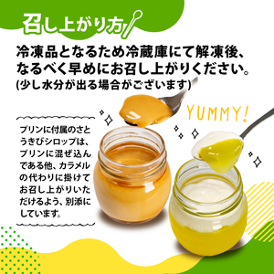 ゼリー プリン セット 6個 ゼリー
