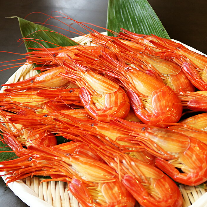 【ふるさと納税】[北海道根室産]北海しまえび 選べる 400g 〜 800g エビ 海老 ボイル 海鮮 魚介 北海道 根室市