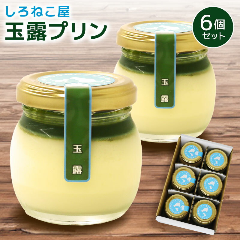 【ふるさと納税】 プリン 玉露 6個セット お菓子 デザート スイーツ おいしい おやつ 洋菓子 ご褒美 高級 抹茶 和風 贈り物 ギフト プレゼント 手土産 お取り寄せ 贅沢 濃厚 しっとり なめらか 上品 絶品 おすすめ 老舗 有名店 藤枝市 静岡県
