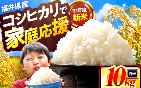 コシヒカリ 精米 10kg 小浜市産 こしひかり [BEEK001]