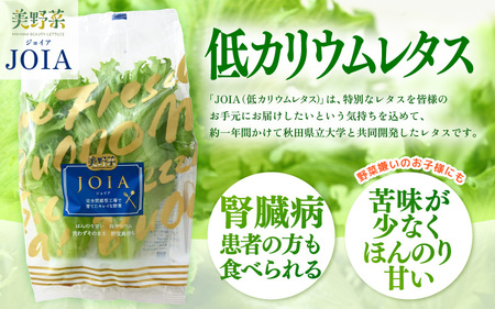 定期便 ≪2ヶ月連続お届け≫ 低カリウムレタス&フリルレタス　計6個セット 全2回 【福井県美浜町産】【野菜 生野菜 レタス サラダ サンドイッチ お弁当 水耕栽培 洗わず食べられる 時短 付け合わせ