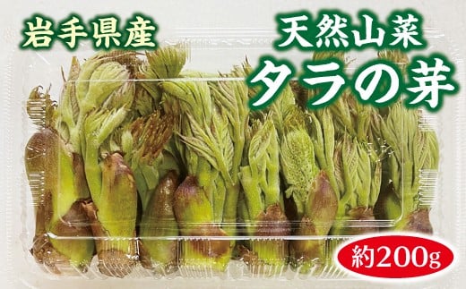 【先行予約】 【４月中旬頃～発送予定】 山菜 タラの芽 200g 天然 たらのめ