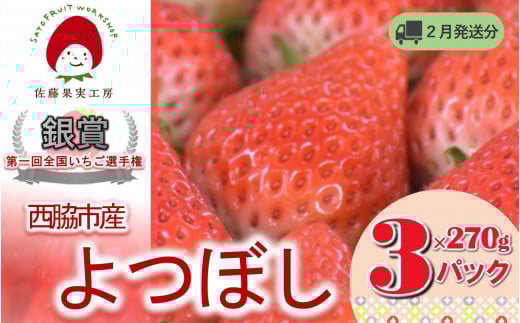 《2026年産先行予約》「西脇市産 佐藤果実工房のよつぼし」（約270g×３パック 約810g）【佐藤果実工房 全国いちご選手権銀賞受賞農園 TVで紹介!】令和８年２月下旬配送分（09-39）