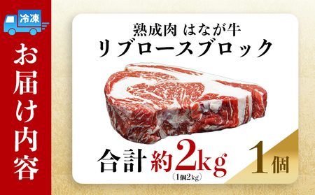 ＜熟成肉 はなが牛リブロースブロック約2kg（2kg×1個）＞ 牛肉 ステーキ 鉄板焼き 焼き肉 国産 塊肉 かたまり 霜降り しもふり バーベキュー BBQ キャンプ アウトドア 特産品 ゆうぼく 