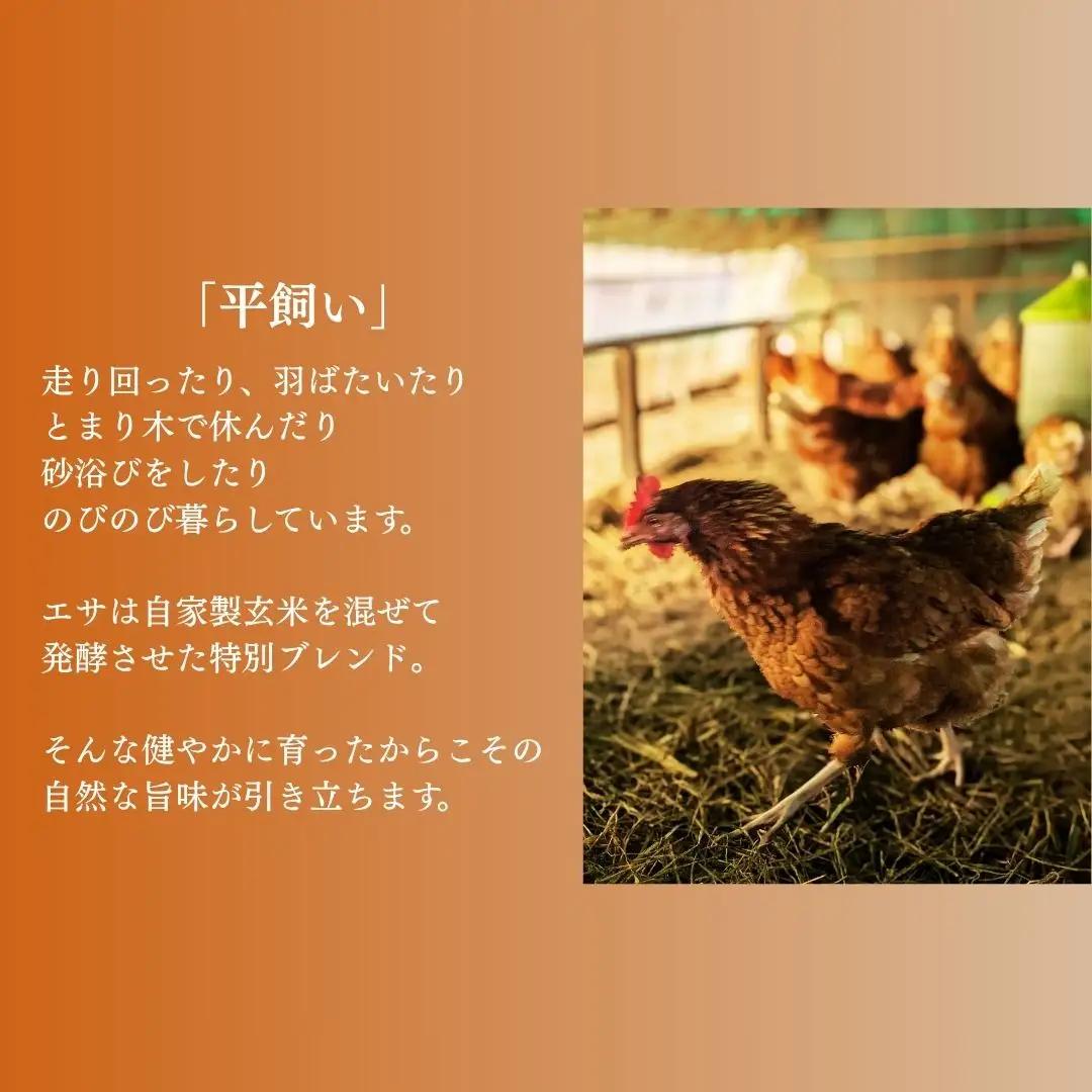 ひよりハーブウインナー 無塩せき 150g×5袋 | ウィンナー 無添加 ギフト