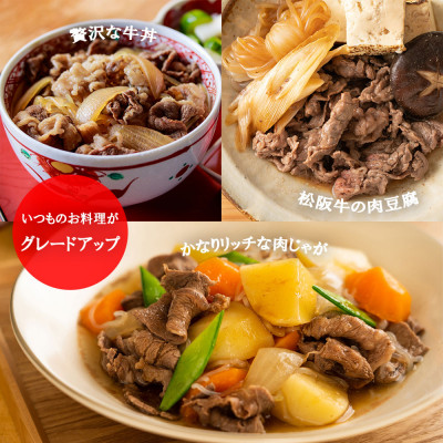 【訳あり】松阪牛 プレミアム切り落とし 500g(250g×2P)【配送不可地域:離島】【1566682】