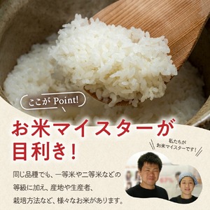 【 令和6年産】 コシヒカリ 計 10kg ( 5kg × 2袋 ) 2024年産