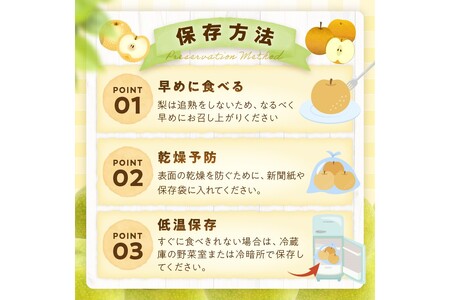 梨／訳あり【先行予約／数量限定700】京丹後　20世紀梨（訳あり） 5㎏（10～16玉）（2024年8月下旬～発送）二十世紀梨　梨詰め合わせ・梨セット・梨 2024年発送