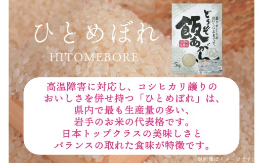 【生産者応援】完熟あさ陽米 (精白米) 10kg (5kg×2) ひとめぼれ 特別栽培米 令和7年産 生産農家直送 米 産地直送 こめ 精米 白米 ご飯 あさ陽米 岩手県 特別栽培 農家直送 事業者応