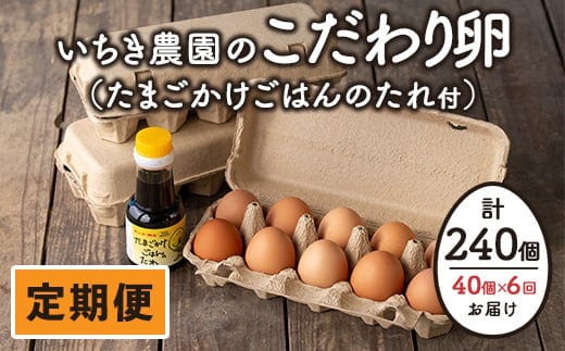 
										
										isa542 【定期便】いちき農園のこだわり卵(計240個・40個×6カ月) 平飼い 鶏 たまご 卵 タマゴ 低コレステロール 抗生物質不使用 卵かけご飯 TKG 定期便 【いちき農園】
									