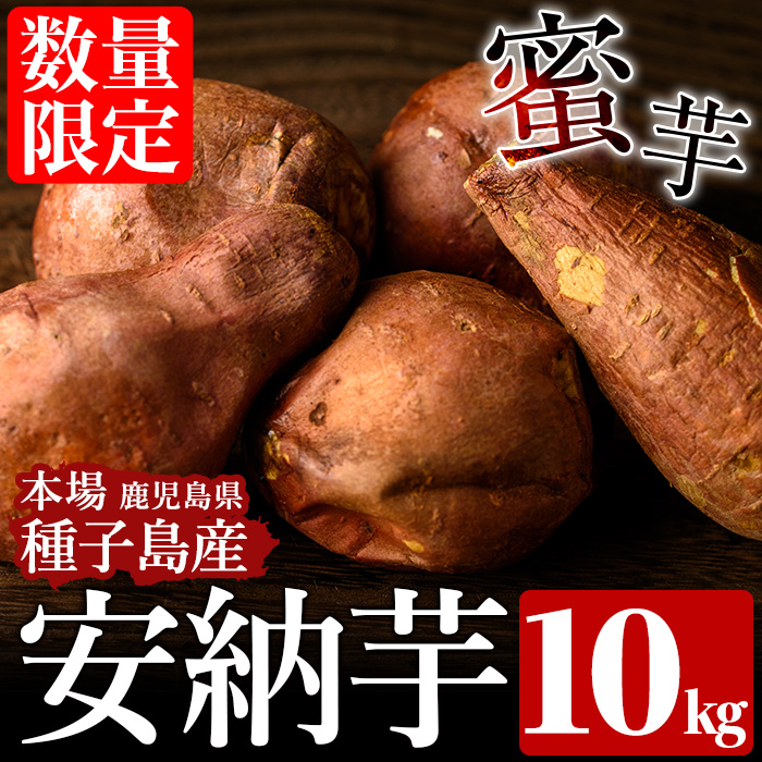 n080 ＜先行予約受付中！2025年10月中旬頃より順次発送予定＞種子島産 安納芋(10kg) 国産 安納芋 本場 種子島 芋 イモ いも さつまいも さつま芋 安納いも 野菜 【種子島安納株式会社】