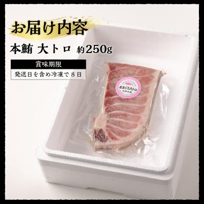 ふるさと納税 焼津市 焼津 本マグロ 大トロ 1本約250g 冷凍 F1(a20-373) |  | 03