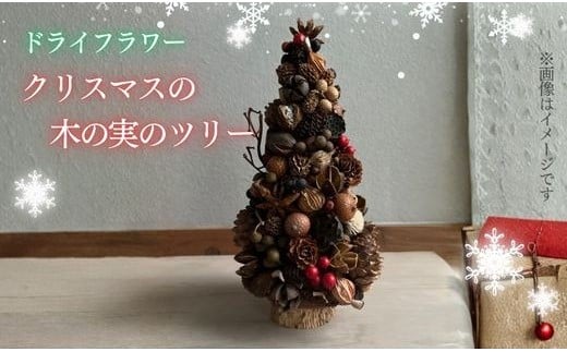 
                  ドライフラワー クリスマス木の実ツリー │ 花  クリスマスツリー クリスマス 静岡県 小山町
                