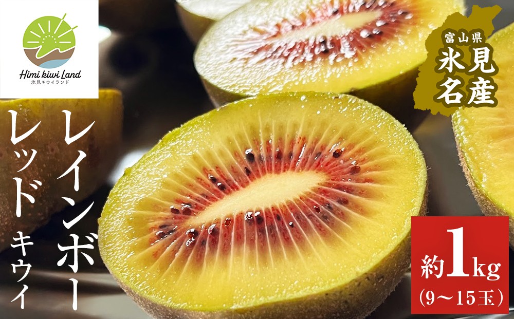 
            氷見産キウイ（レインボーレッド）1kg以上（9～15玉）　 ｜数量限定 希少 国産 甘い 氷見キウイランド
          