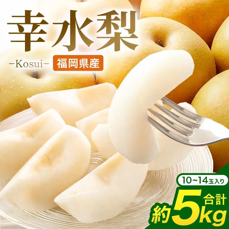 【ふるさと納税】【先行予約】幸水梨  5kg 10玉～14玉 なし【2026年8月上旬ごろ出荷開始予定】