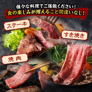 【全4回】宮崎牛　ヘルシー赤身定期便 【 肉 牛肉 国産 黒毛和牛 宮崎牛 全4回 焼肉 しゃぶしゃぶ 焼きしゃぶ BBQ 宮崎県 川南町 】