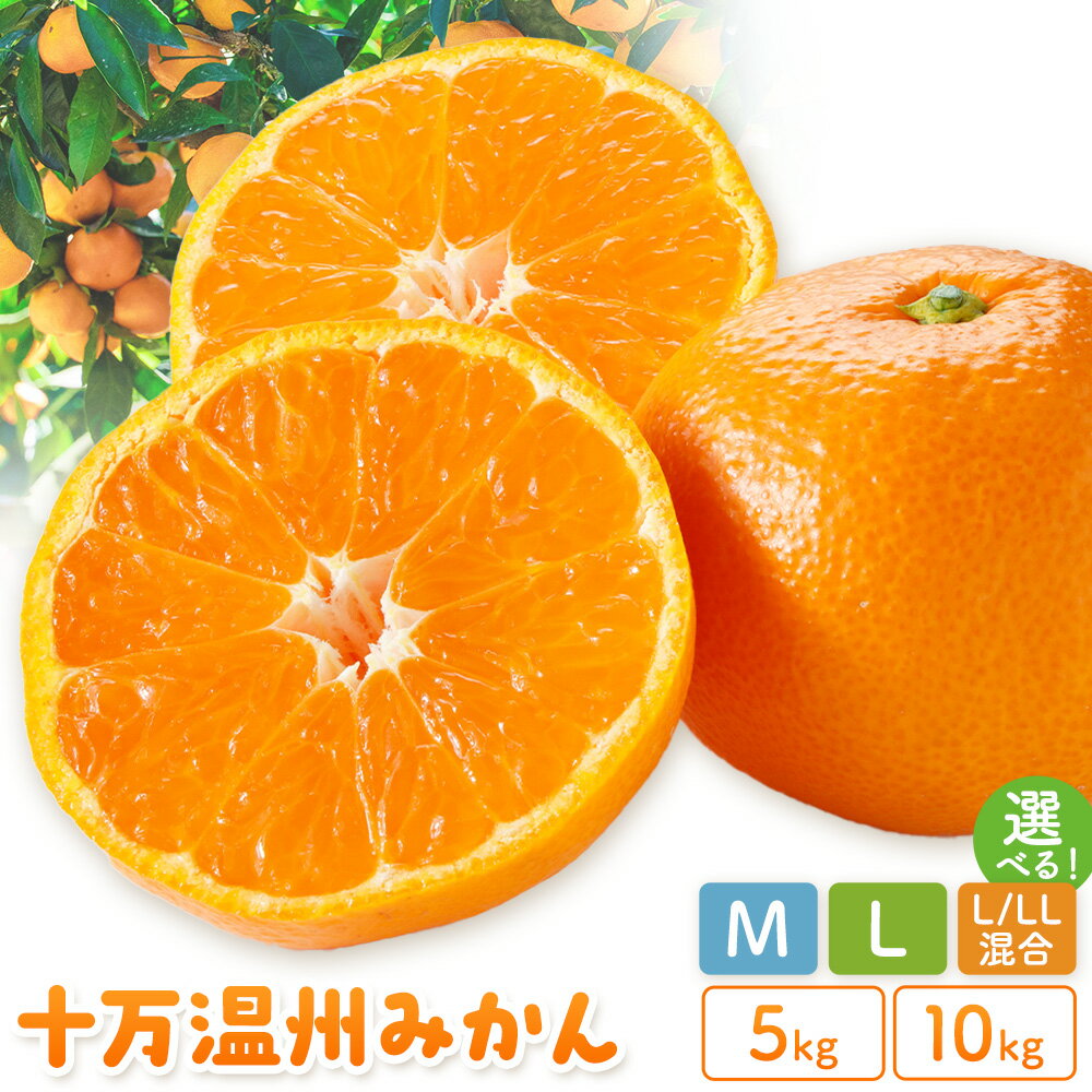 【ふるさと納税】十万温州みかん 選べる M L LL サイズ混合 5kg 10kg 田野農園《12月中旬-3月中旬頃出荷》鹿児島県 さつま町 みかん 蜜柑 柑橘 果物 くだもの フルーツ ジューシー 送料無料