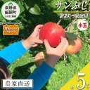 【ふるさと納税】 りんご サンふじ 家庭用 ( 小玉 ) 5kg 増田さんちのりんご 沖縄県への配送不可 令和6年度収穫分 長野県 飯綱町 〔 信州 果物 フルーツ リンゴ 林檎 長野 予約 農家直送 12000円 〕発送時期：2024年11月下旬～2025年2月上旬