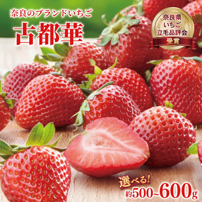【ふるさと納税】 いちご ことか 選べる容量 約500~600g 2027年発送 【奈良県いちご立毛品評会受賞】 古都華 L~2L 大粒 数量限定 季節限定 産地直送 苺 家庭用 フルーツ 果物 デザート スイーツ 旬 新鮮 ギフト 贈答 お歳暮 プレゼント 奈良県 奈良市 藤井農園