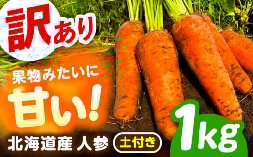 北海道 訳ありにんじん 1kg（土付き）《足寄町》【餌取農場】 北海道産 甘い 訳あり 規格外 キズ 傷 人参 野菜 根菜 ニンジン 1kg 道産 キャロット 糖度高め サラダ ジュース 生鮮野菜 北海道産 あしょろ 足寄 4300 4300円 [BEBA003]