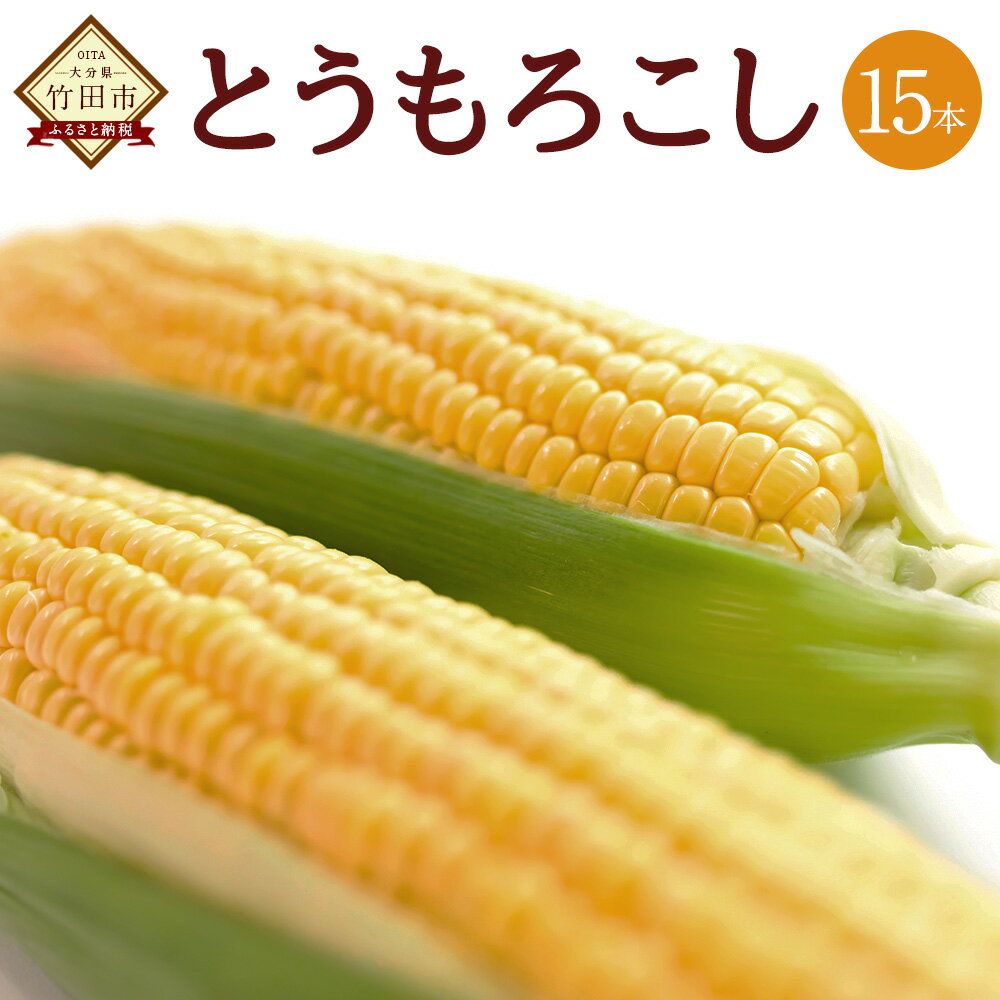 【ふるさと納税】【2025年7月上旬発送開始】とうもろこし 15本 大分県 竹田市産 スイートコーン 季節限定 数量限定 旬 野菜 冷蔵 送料無料