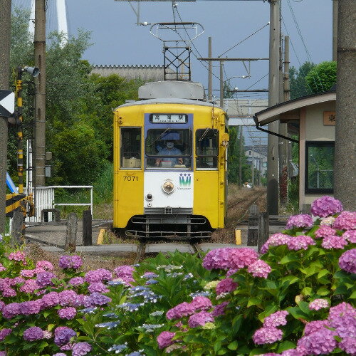 【ふるさと納税】万葉線7000形電車貸切（高岡駅～越ノ潟駅区間内 片道）　チケット 体験チケット 乗車券 鉄道乗車券