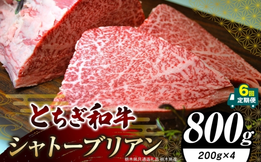 【定期便6回】栃木県共通返礼品 栃木県産 とちぎ和牛シャトーブリアン（ヒレ肉）(200g×4)×6回｜定期便6回 黒毛 和牛 牛肉 焼肉 ステーキ BBQ バーベキュー ブランド和牛 とろける 霜降り 赤身 切り落とし ふるさと 納税 イチオシ おすすめ 栃木県 下野市 しもつけ市
