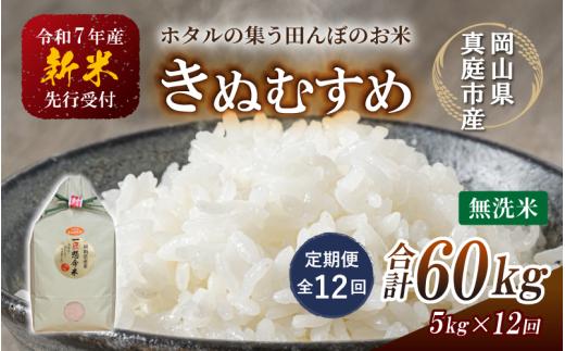 ＜定期便 全12回＞ 令和7年新米 真庭市産きぬむすめ 無洗米5kg×12回 / お米 国産 岡山県 米 人気 ブランド 2025年産 【tkns-tkb021】