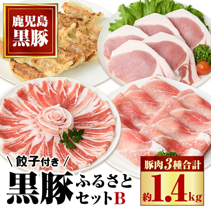 【ふるさと納税】ふるさと黒豚セットB！黒豚餃子(12個入×3P)付き！ 鹿児島 国産 九州産 黒豚 豚肉 お肉 バラ ロース モモ スライス 餃子 ぎょうざ 焼肉 しゃぶしゃぶ すきやき おかず 惣菜【和田養豚】