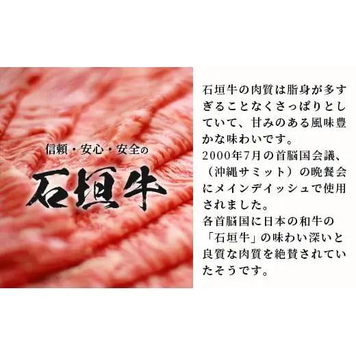 石垣牛 100% 極めハンバーグ 150g×5個  TM-5
