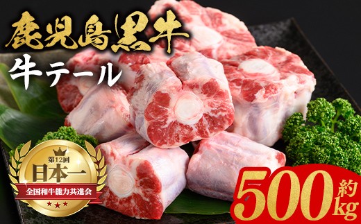 
                  P01003 鹿児島黒牛 牛テール(約500g) 鹿児島 九州産 国産 国産牛 牛肉 黒毛和牛 希少部位 テール コラーゲン 煮込み テールスープ 冷凍 【新村畜産】
                
