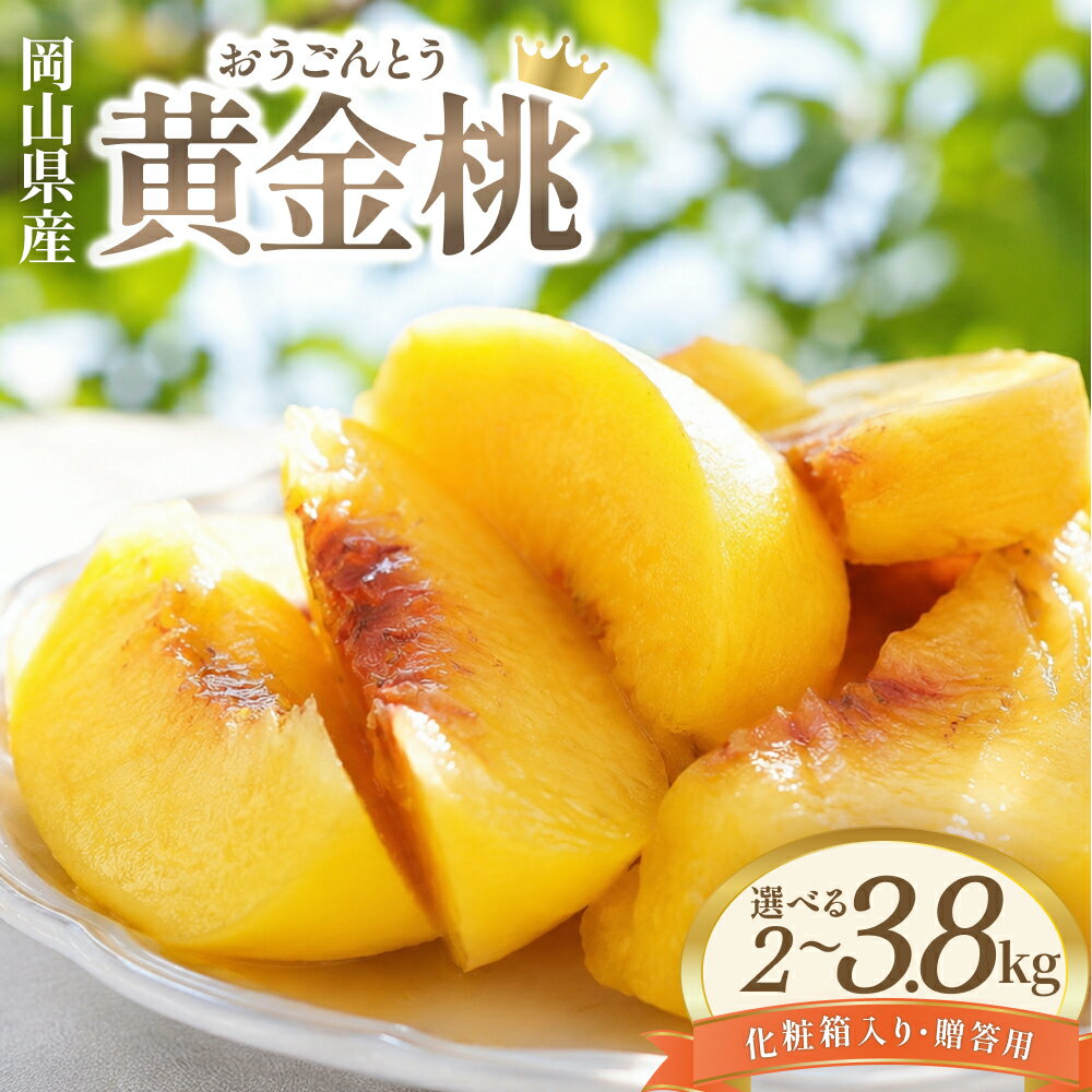 【ふるさと納税】 岡山県産 黄金桃 2kg 3.8kg 化粧箱入り・贈答用 高級 黄金桃 花田青果【2026年 先行予約 9月初旬～9月中旬まで順次発送予定】 桃 もも モモ 果物フルーツ 訳あり品 岡山県 数量限定 くだもの 期間限定 産地直送 白桃 送料無料 約3kg お取り寄せ