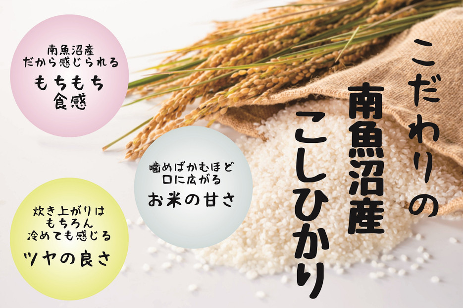【令和7年度産新米予約】南魚沼産コシヒカリ 白米 5kg【2025年10月上旬より順次発送予定】