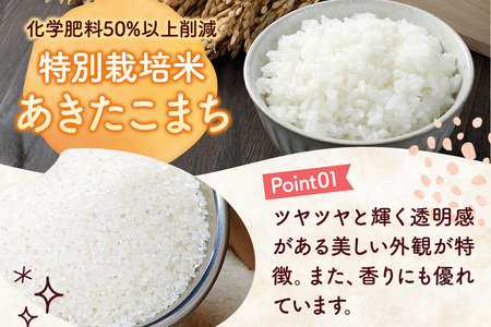 【定期便3ヶ月】《令和7年産 新米受付》米 特別栽培米 あきたこまち【精白米】10kg（10kg×1袋）ローズメイ 秋田県 大仙市産