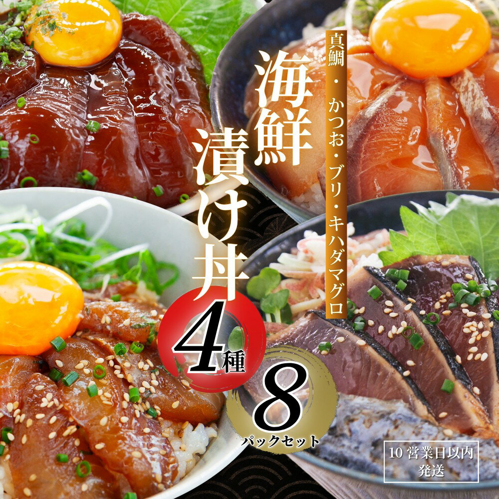 【ふるさと納税】 漬け丼セット 計8パック ( 4種 × 2 パック ) 真鯛 カツオ ブリ キハダ マグロ 10000円 食べ比べ 漬け丼 づけ丼 海鮮丼 鯛 たい かつお 鰹 マグロ 冷凍 人気 魚介 海鮮 お手軽 加工品 簡単 流水解凍 小分け 新鮮 養殖 国産 南予ビージョイ 愛南町 愛媛県