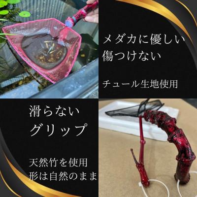 ふるさと納税 小美玉市 メダカ1匹選別用　タモ網(角型・短め)5本セット |  | 02