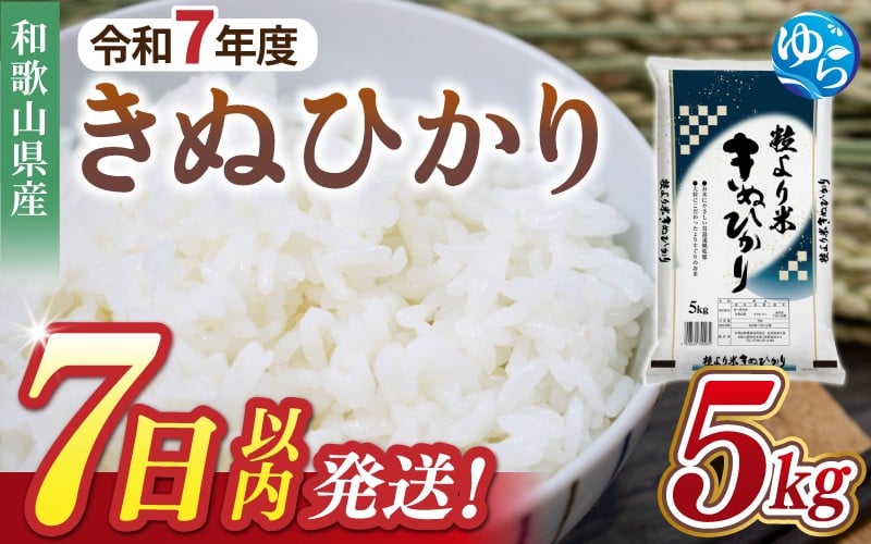 
                  【7日以内発送】令和7年度産 きぬひかり 5kg ※お届け日指定不可※ / 白米 お米 キヌヒカリ 由良町 精米 和歌山 2024年度 ごはん ご飯 米 こめ 　【jahd400-kinu-5】
                