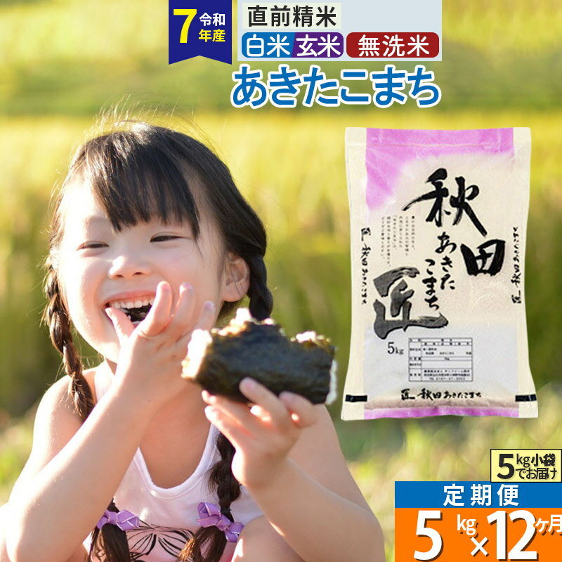 【ふるさと納税】【白米／玄米／無洗米】※R7※《定期便12ヶ月》秋田県産 あきたこまち 5kg (5kg×1袋)×12回 令和7年産 お米 匠